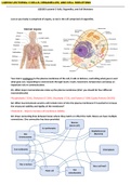 LQB182 Lectorial 3 Cells, Organelles, Cell Skeletons Answers