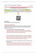 Straighterline Anatomy & Physiology I BIO 201L LAB 7 The Muscular System Worksheet – with all lab photos (New Version June 2024) Scored 100%