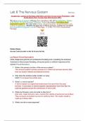 Straighterline Anatomy & Physiology I BIO 201L Lab 8 The Nervous System Worksheet – with all lab photos (New Version June 2024) Scored 100%