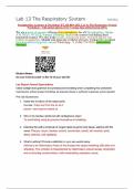 Straighterline Anatomy & Physiology II LAB BIO 202L Lab 13 The Respiratory System Worksheet – with all lab photos (New Version June 2024) Scored 100%