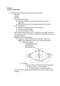 Psychology 2e Ch. 8: Memory