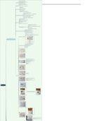 Outline of  Gene Structure and Organization in nucleus 