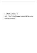 A & P 1 Final Module 11 (Version-2)-60 Question And Answers, A&P 1 MA278 BSC2 Human Anatomy & Physiology, Rasmussen College.