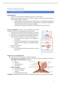 Medische vorming 1: Pneumologie en endocrinologie (Isabelle Stulens) 