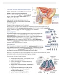 Summary of Human development, biomedical sciences 1st year 