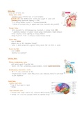 NEUROANATOMY