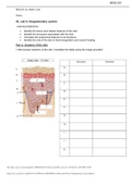 BIOS 251 Week 5 Lab Assignment: Integumentary System (SOLVED)