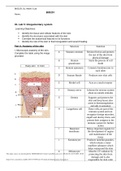 BIOS 251 Week 5 Lab Assignment: Integumentary System (SOLVED) BIOS251 OL, Week 5 Lab Name: OL Lab 5: Integumentary system Learning Objectives:  Identify the tissue and cellular features of the skin.  Identify the structures associated with the skin.  C