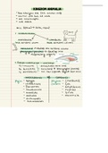 Kingdom Animalia (pt 1) - Introduction and First 3 Phyla - Grade 11 Bio