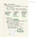 Kingdom Animalia (pt 2) - Last 4 Invertebrate Phyla - Grade 11 Bio