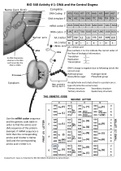 BIO 340 Activity #1