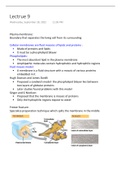 The membrane structure 