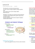 Energy, enzyme and metabolism 