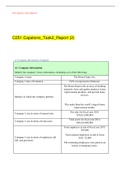  C251 Capstone_Task2_Report (2) GRADED A