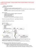 NURSE-UN 240 A&E I– FINAL EXAM STUDY GUIDE WEEK 6 TO 10 Latest updated 2022,100% CORRECT