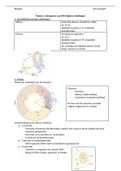 Samenvatting Biogenie 5.2/6.2 - leerboek, ISBN: 9789045551548  Biologie