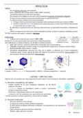 RESUMEN INTRODUCTORIO A VIROLOGIA