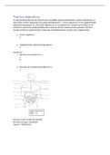 anatomie en fysiologie spijsverteringstelsel