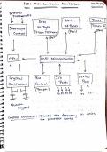 Class notes Microprocessors and Micorcontrollers (BECE204L) 