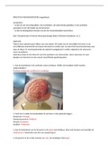 Uitwerkingen Practicum Neuroanatomie (Introductie Psychobiologie)
