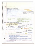 Class notes BIOS 1700: Ch.7- Cellular Respiration