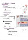 samenvatting niet-zwangere vrouw