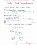 SIMPLIFIED EXPLANATION OF BODY FLUID COMPARTMENTS