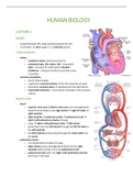 Human Biology notes