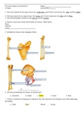 BIO 228 CLASS NOTES