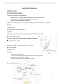 Samenvatting Orgaanfysiologie (Nier-, Ademhaling- En Voortplantingsfysiologie &  Bloed, Cardiovasculaire En Gastro-intestinale Fysiologie) 