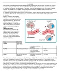 NR 507 Week 6 Assignment; Alterations in the Endocrine System (E-dapt Content)