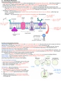 CIE A level biology - unit 04 - cell membranes and transport 