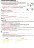 CIE A level Biology notes on unit o6 - Nucleic Acids and Protein Synthesis 