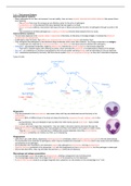 CIE A Level Biology year 1 Notes - Unit 01-11