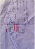 Mindmap week 1 Accounting I (Vrije Universiteit)