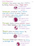 Anatomy & Physiology II - White Blood Cells & Blood Donor Compatibility