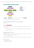 Transcription, Translation, and mRNA processing 