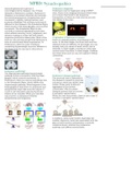 MPBD: Synucleopathies summary