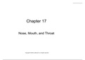 NURS 306 CH 17 powepoint nose,mouth, throat