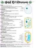 B1 - B3 Revision Notes