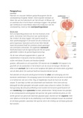 Samenvatting 10voorbiologie voortplanting en cellen leerjaar 3