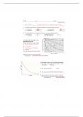 Bio 101 Half-life with graphs worksheet key