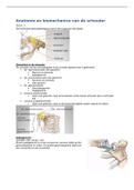 anatomie en biomechanica schouder