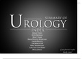 urology summary