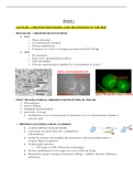 week 5 lecture 1 notes