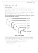 Exam (elaborations) BIOLOGY 1307 Lab Assignment #6 - Seedless Nonvascular Plants