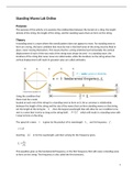 PHY 1611 Standing Waves Lab Online|all you need