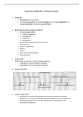 samenvatting kinesitherapeutisch handelen 2