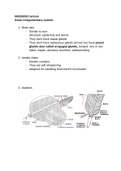 CLASS NOTES BIO 430 ORNITHOLOGY