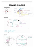 Tekeningen Splanchologie